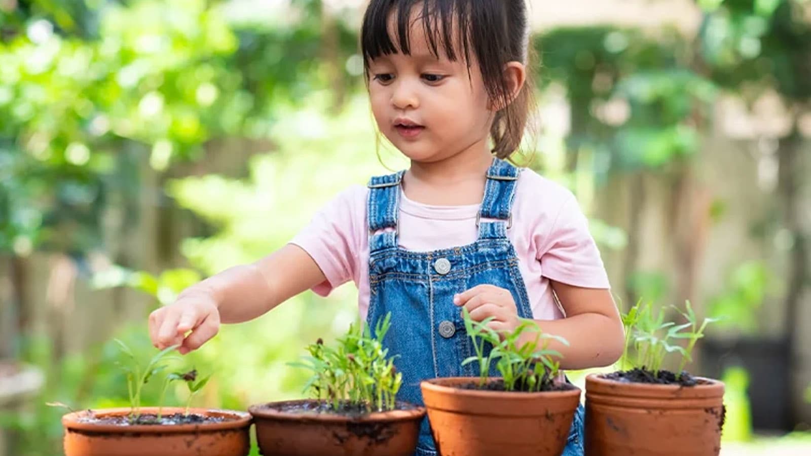 Setting up Learning Centres