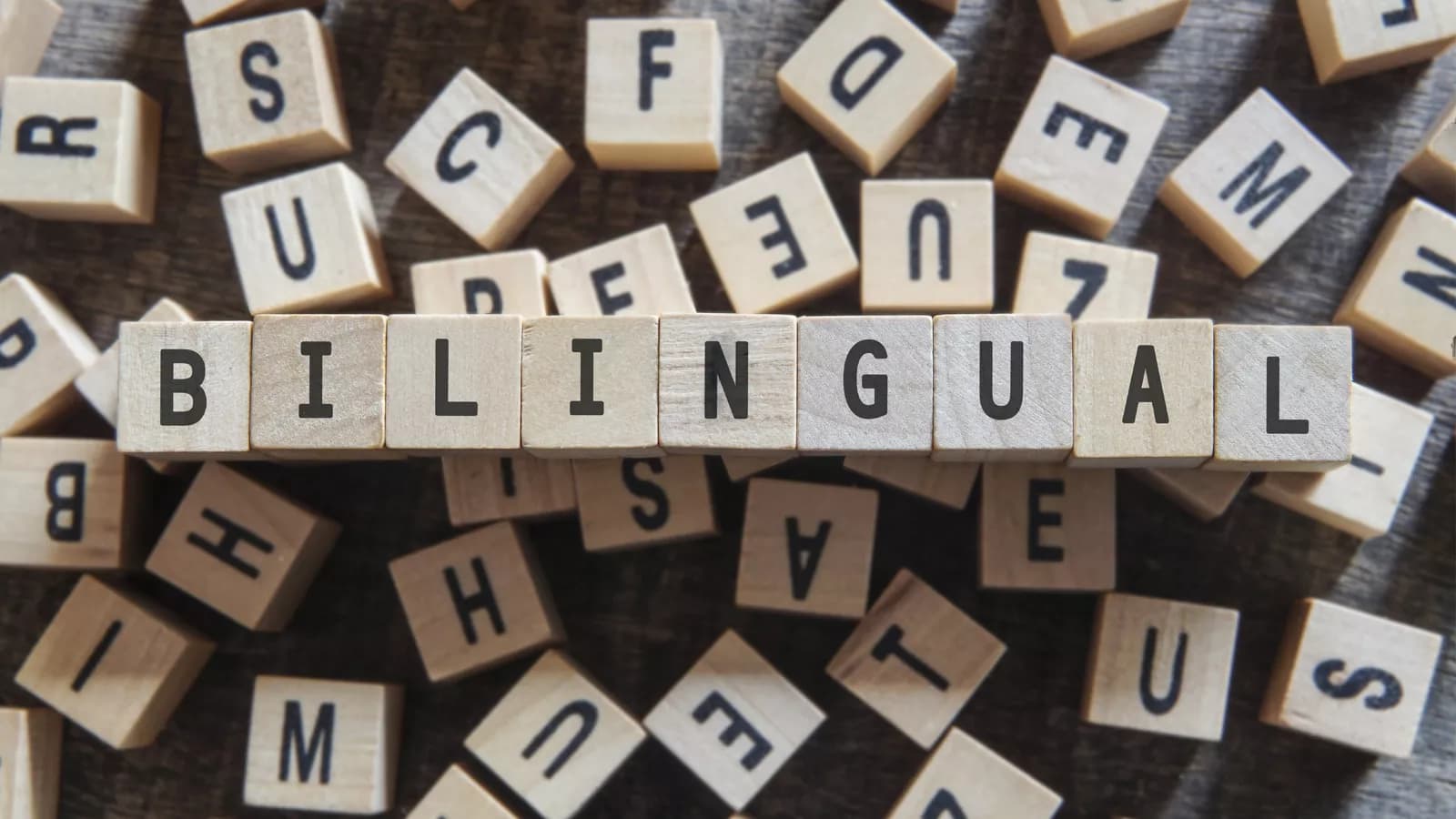 Educators Pedagogical Practices Mtl Main