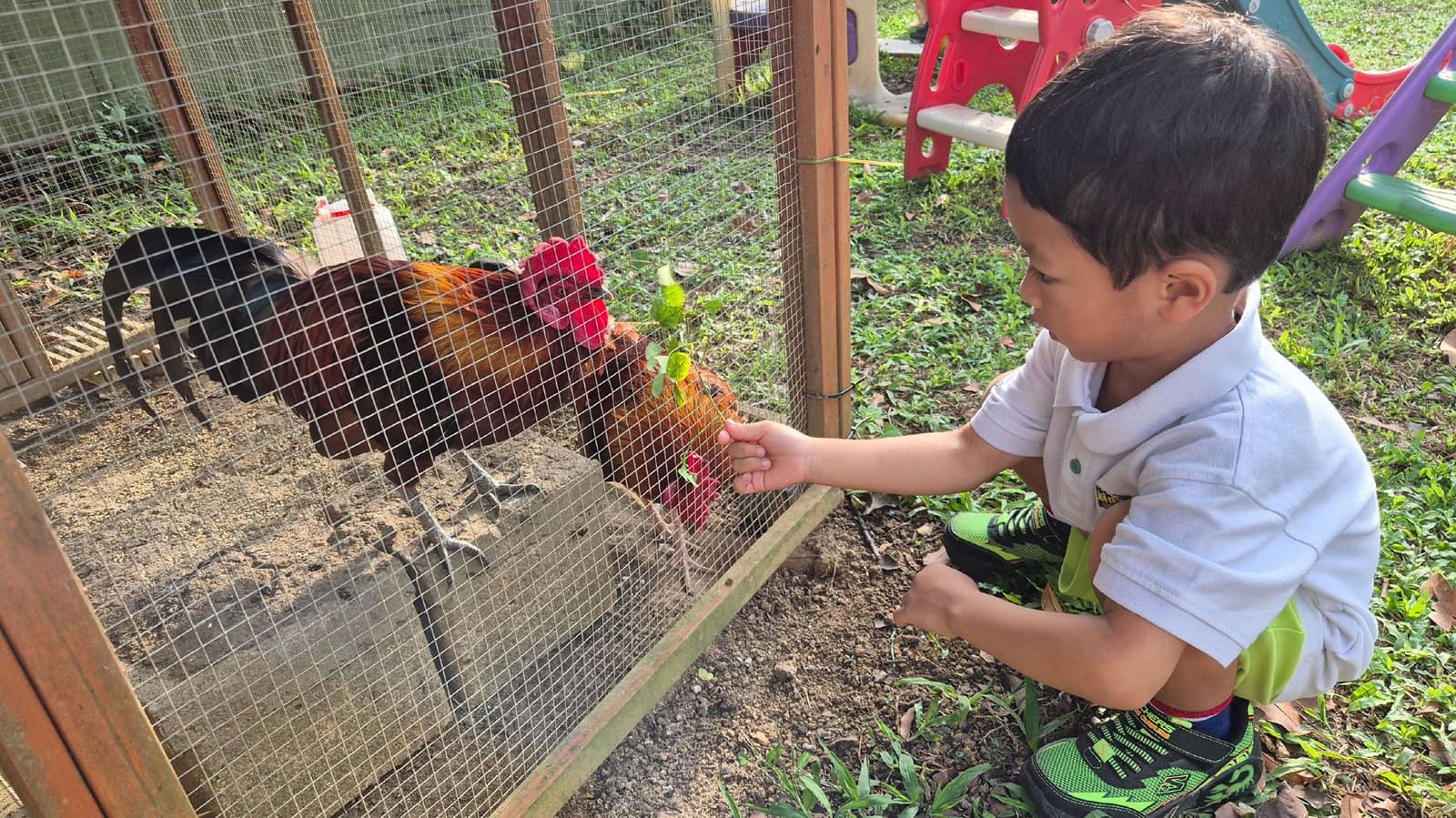 Educators Holistic Development Beyond Four Walls Img01