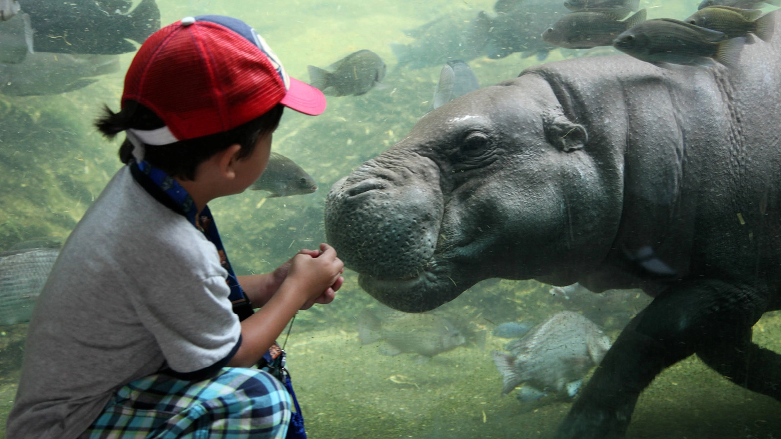 Educators Engagingcommunity Mandai Wildlife Parks Main