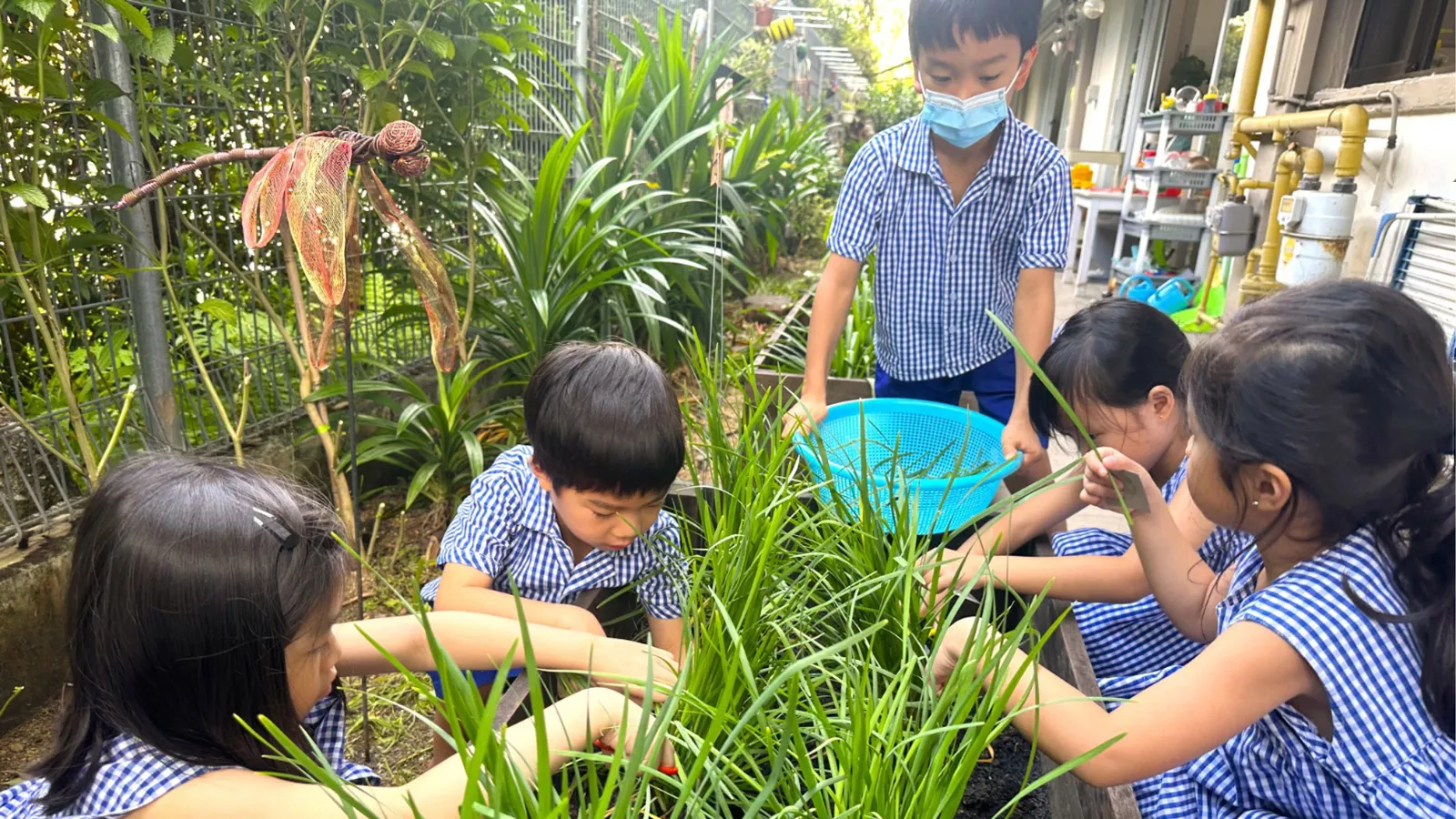 Preschoolers tend to plants in a gardening activity, showcasing responsibility and care for the environment.