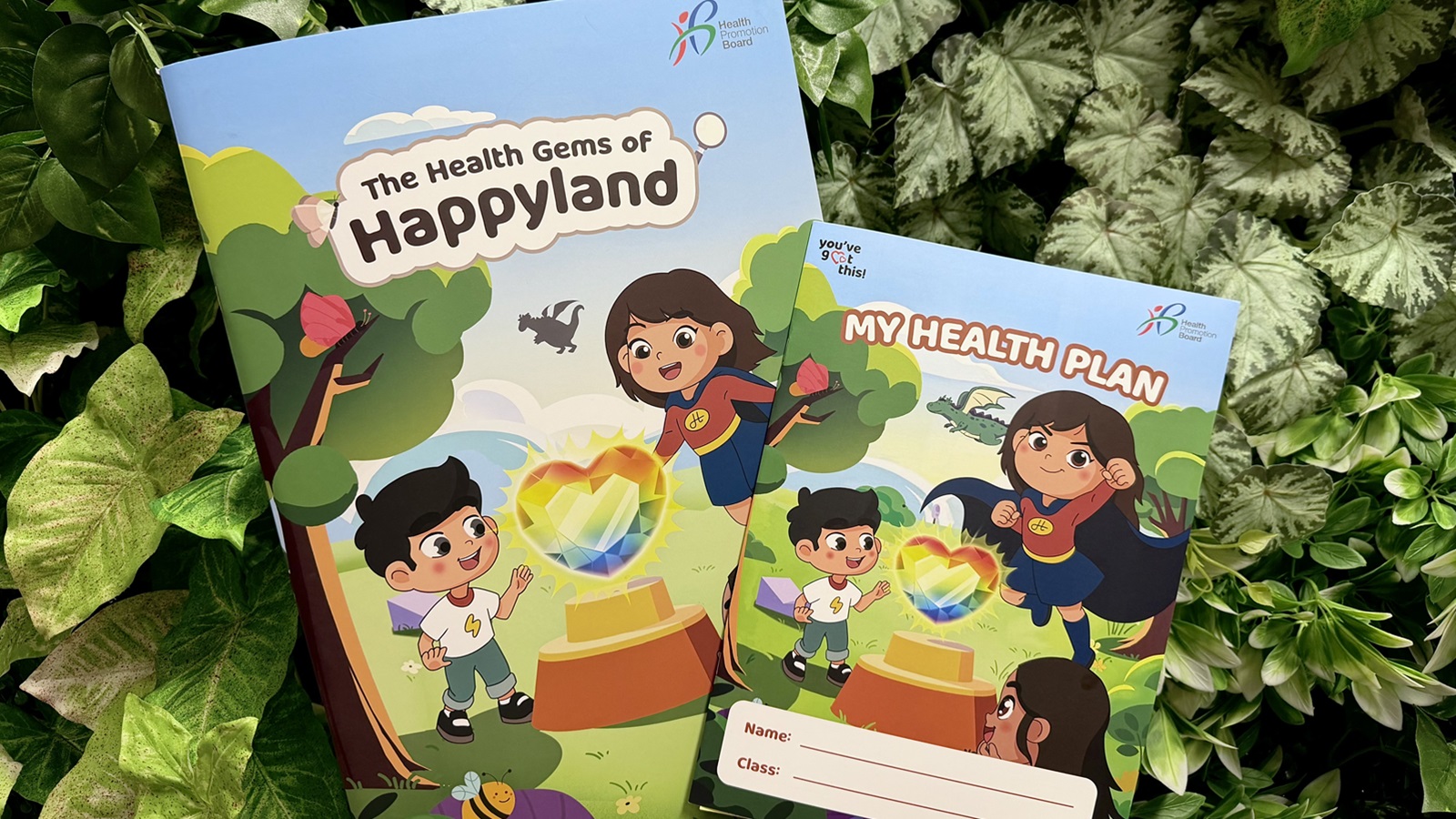 Visual of Health Plan Booklet