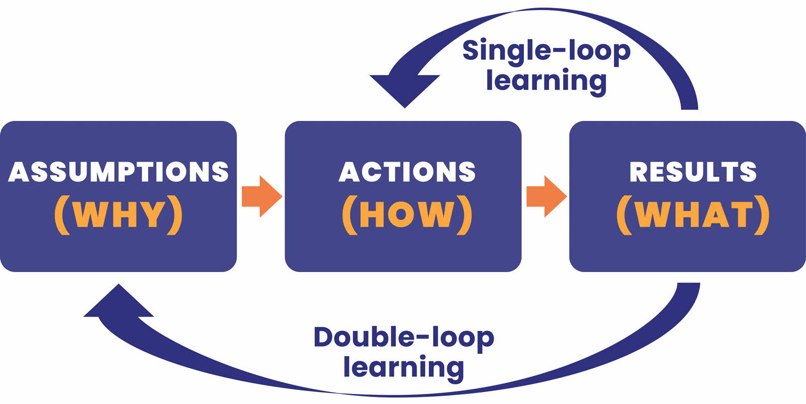 A visual representation of the double-loop learning process, detailing sequential steps and their interconnections.