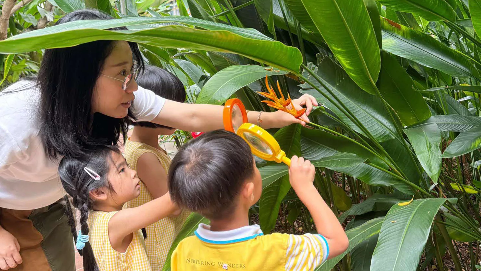 Educator Miao Dan and two children use magnifying glasses to observe a plant, sharing a moment of curiosity and learning.