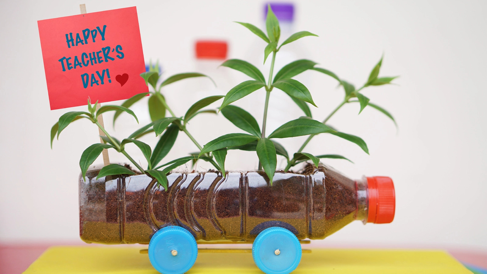 A car-shaped herb planter made from a plastic bottle and caps, with a handwritten Teachers’ Day message.