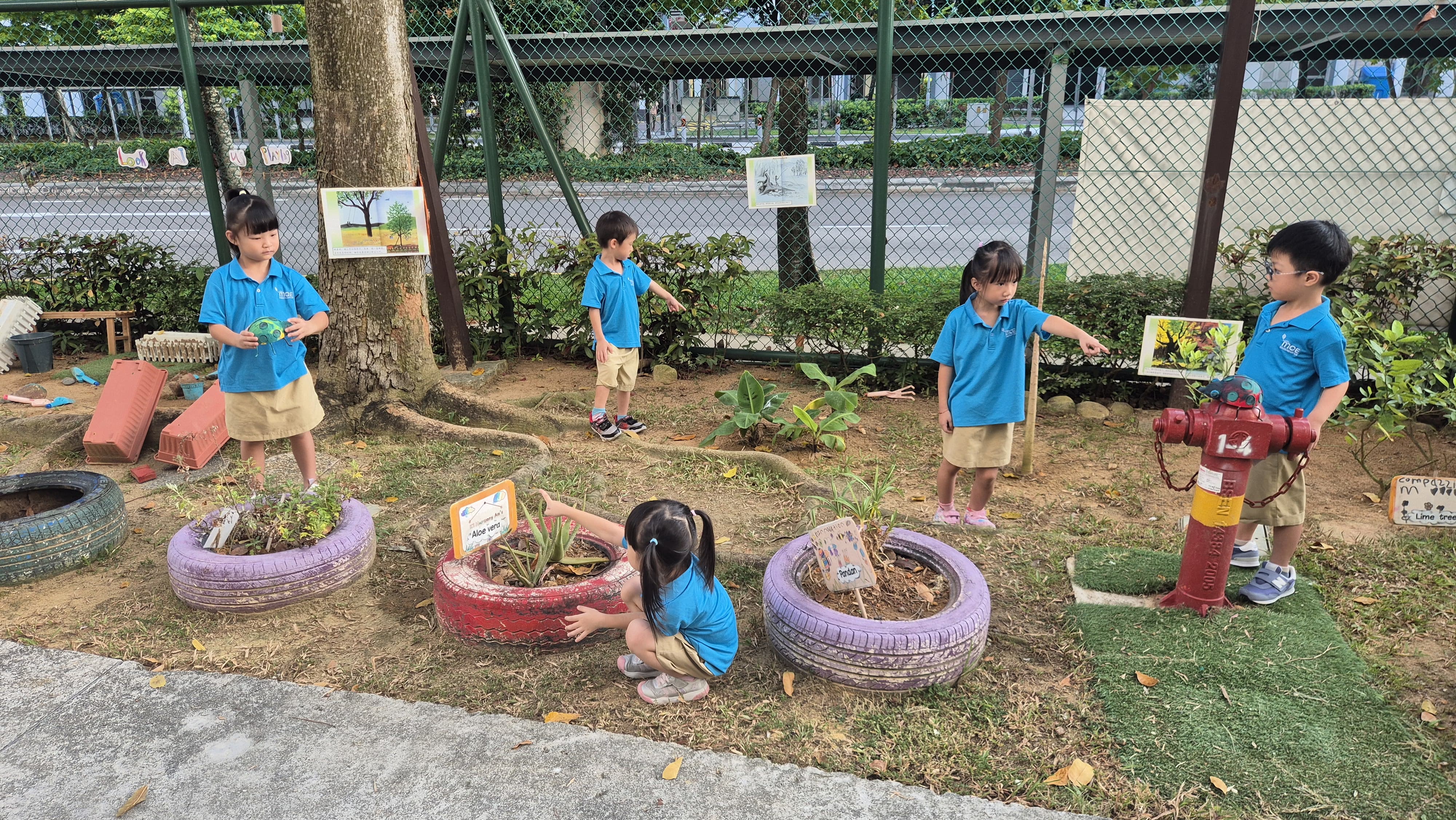 MOE Kindergarten, Early Childhood Innovation Award