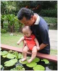 Baby touching leaves in a pond